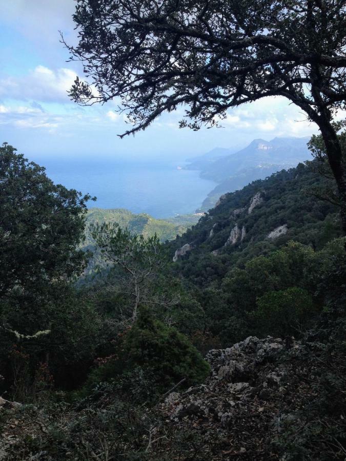 Home In Tramuntana Port des Canonge 外观 照片
